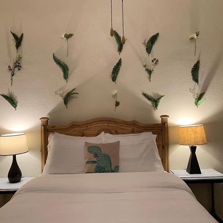 The Lodge At Cypress Falls Wimberley Bagian luar foto